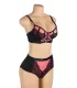 Conjunto de sujetador push-up de malla y encaje