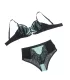 Conjunto de sujetador push-up de malla y encaje