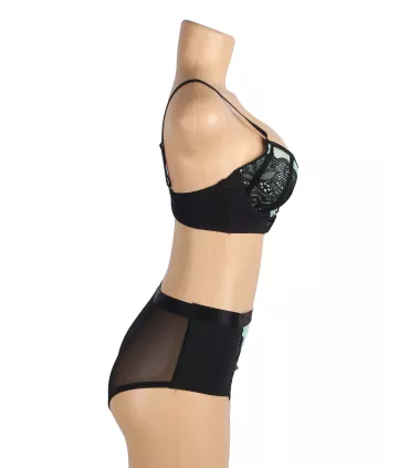 Conjunto de sujetador push-up de malla y encaje