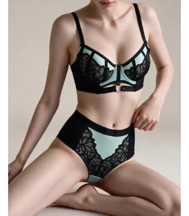 Conjunto de sujetador push-up de malla y encaje