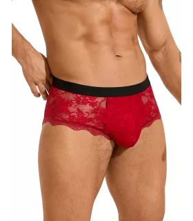 Bóxer de encaje transparente y sexy